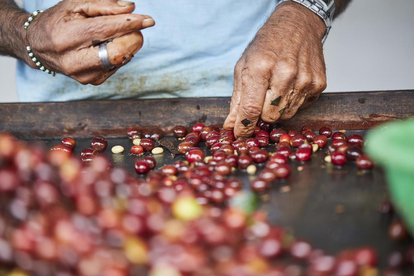 La cultura del café en Colombia